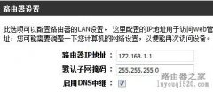 无线路由器双路由多路设置