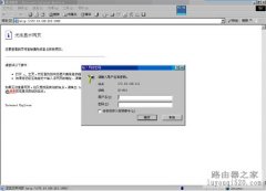 d-link路由器+IPCAM应用配置说明