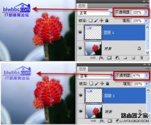 ps透明度怎么调整？ps透明度快捷键在哪里设置