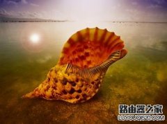 exploer.exe进程错误致使显示电脑黑屏的解决方案
