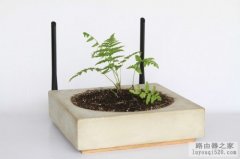 无线路由器上可以种植物 你信吗？